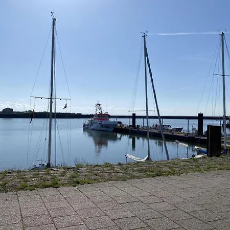 Pirola No 7 Borkum