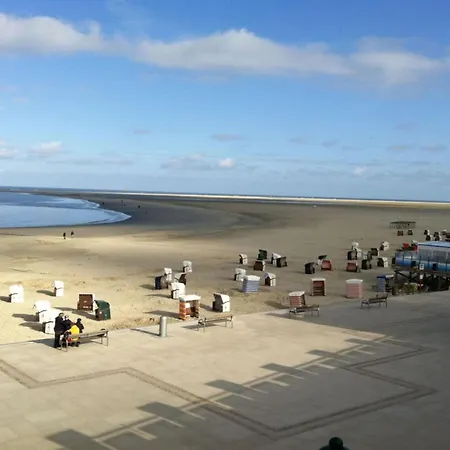 Pirola No 7 * Borkum